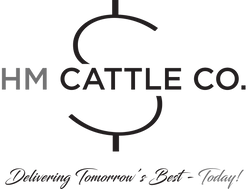 HM Cattle Company