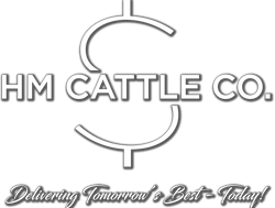 HM Cattle Company