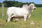 Miss HMC 140/1
