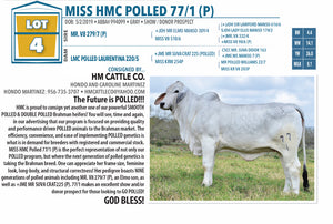 Miss HMC Polled 77/1 (P)