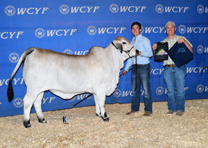 Miss HMC Polled 69/1 (P)